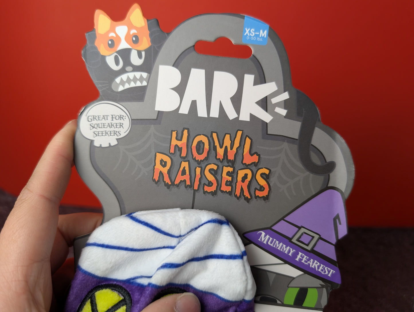 BarkBox Mummy Fearest