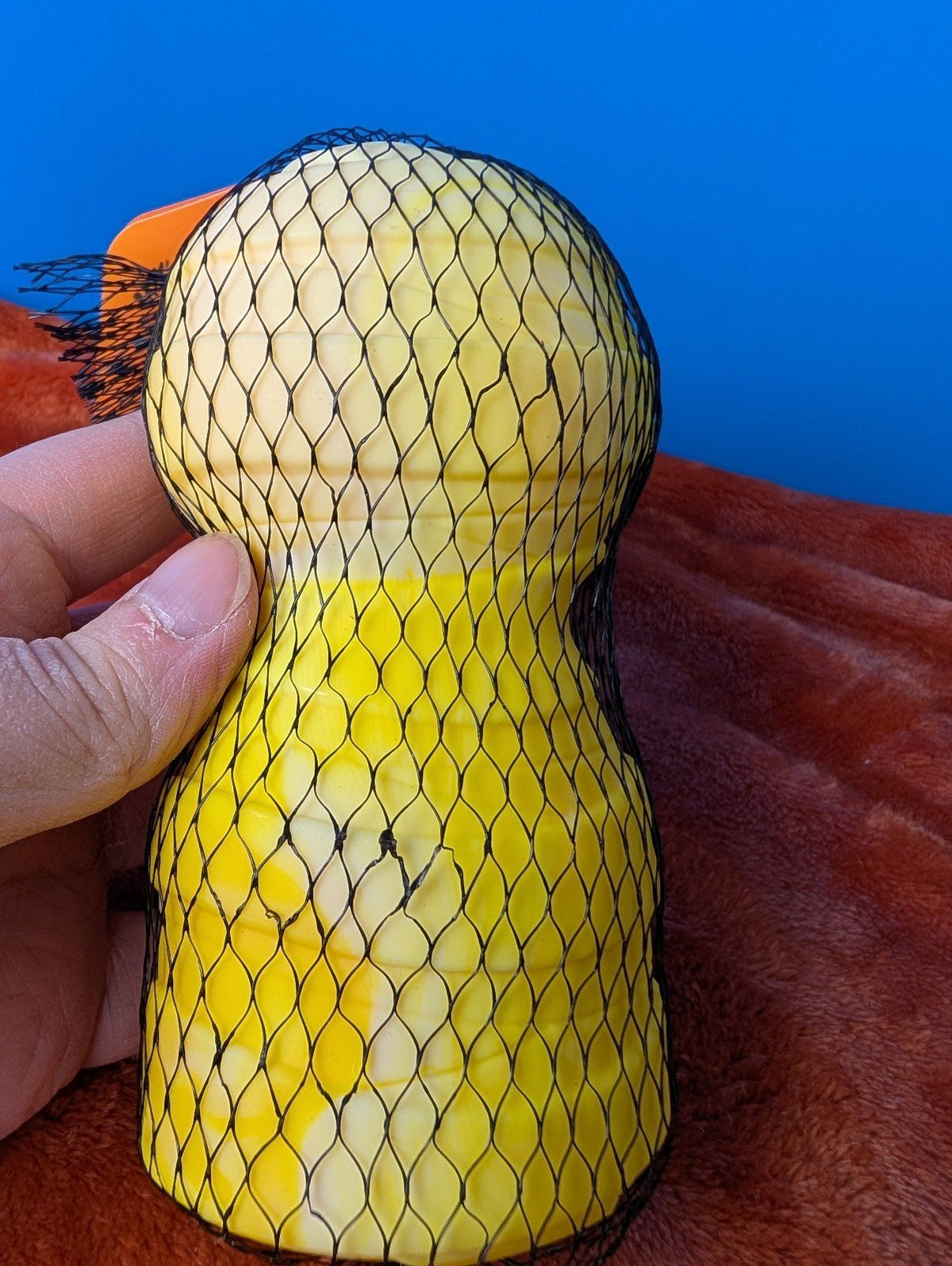 BarkBox Sarcopha Gus