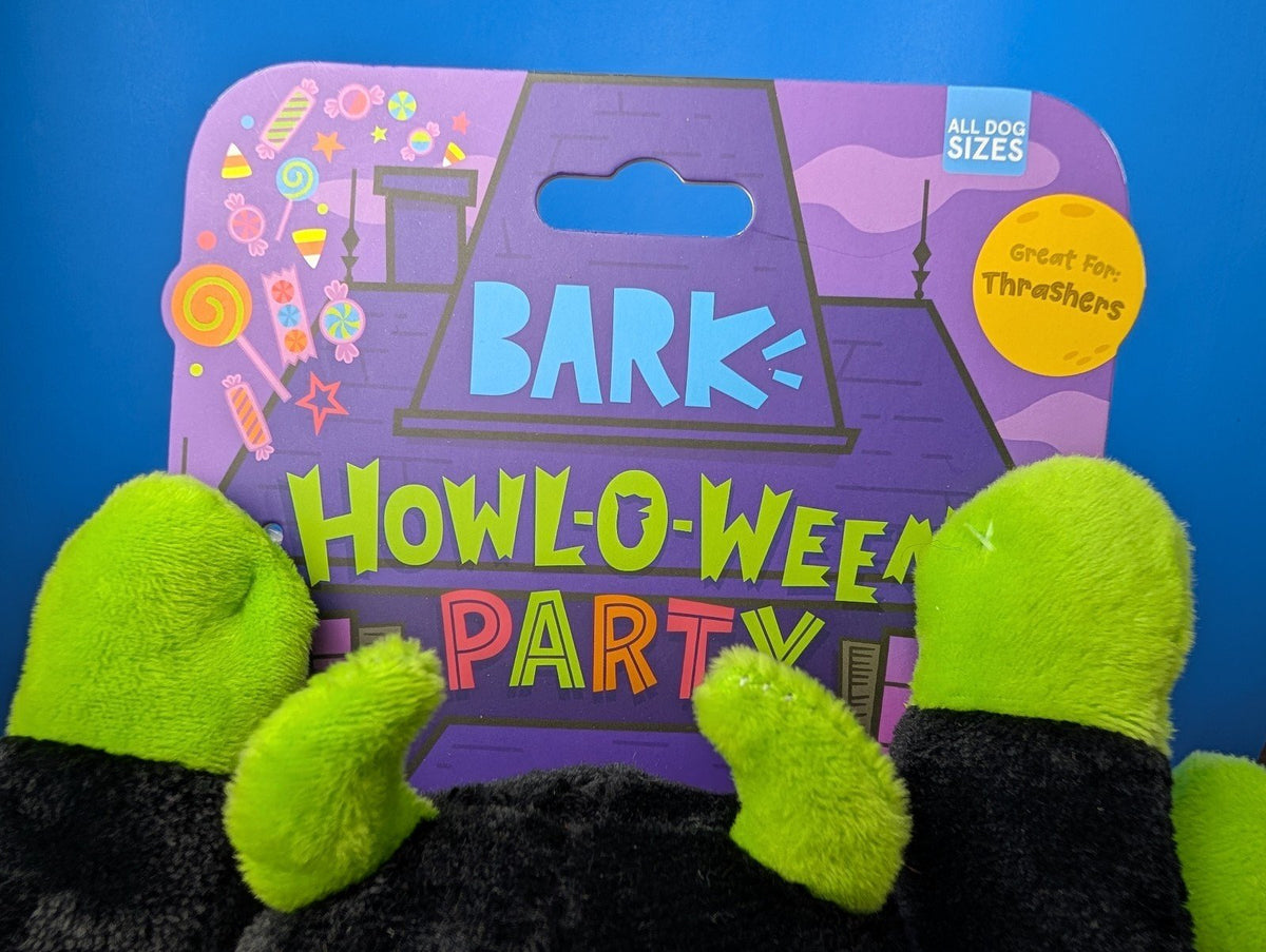 Barkbox Dark Web Designer, spider, Halloween
