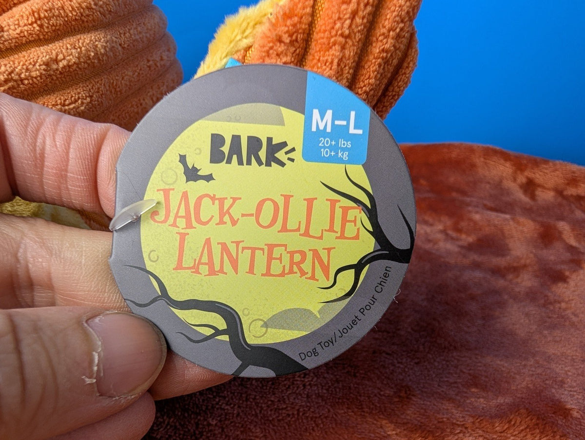 BarkBox Jack-Ollie Lantern