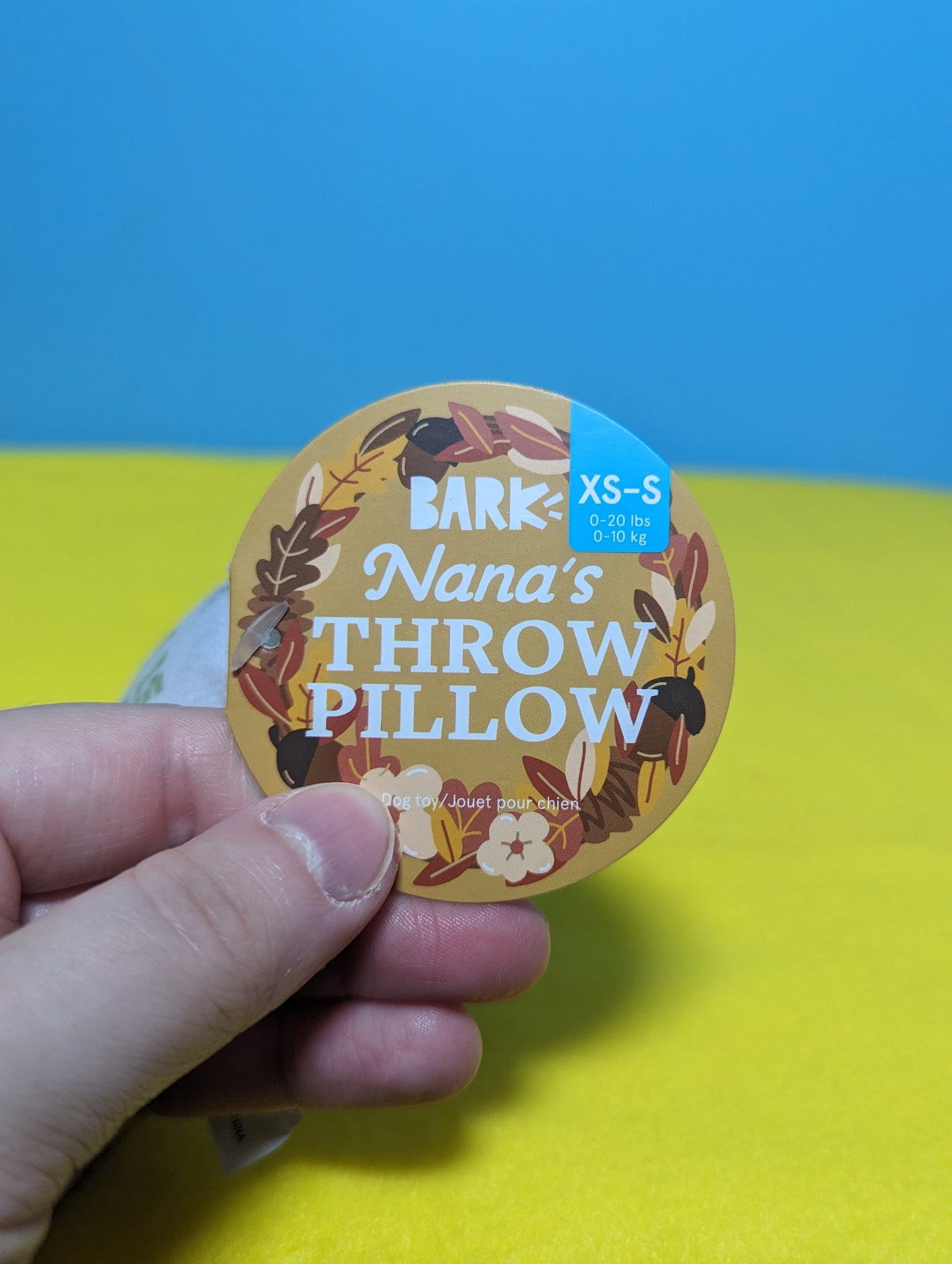 BarkBox Nana's throw pillow