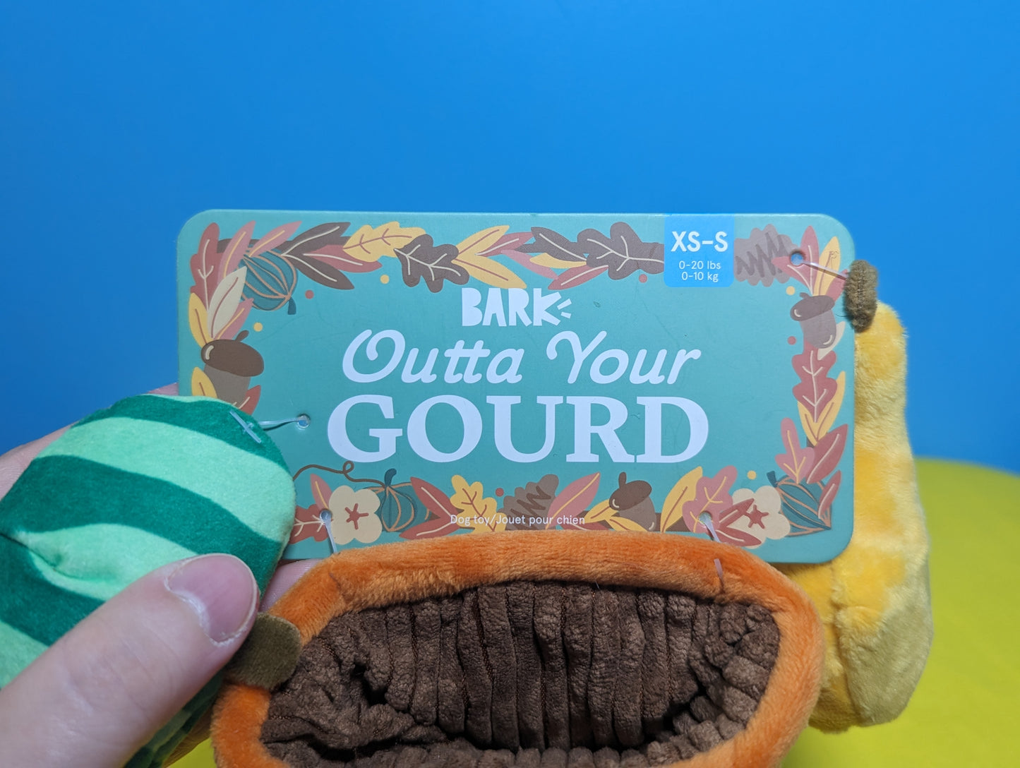 BarkBox outta your gourd