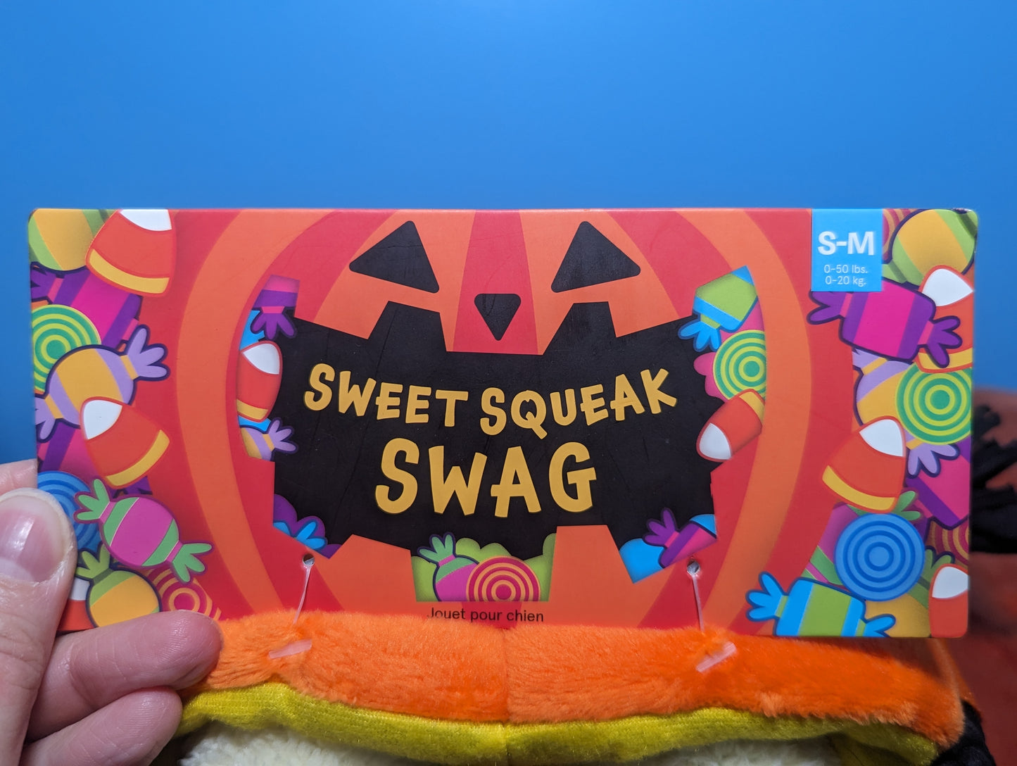 BarkBox sweet squeak swag