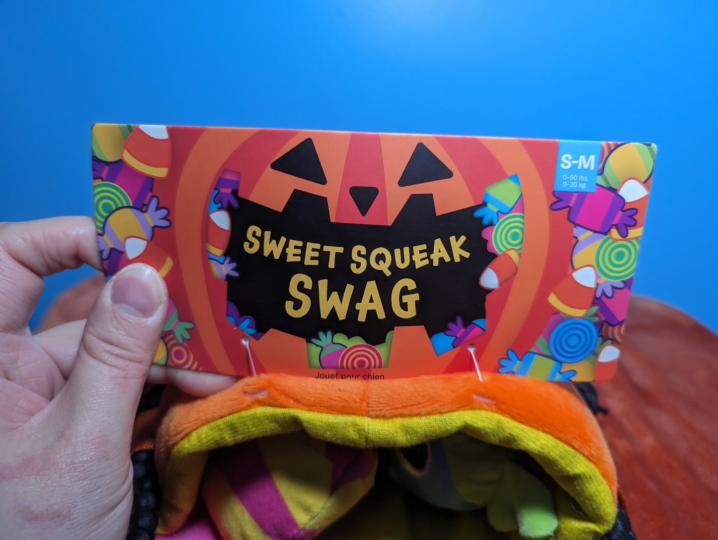 BarkBox sweet squeak swag candy