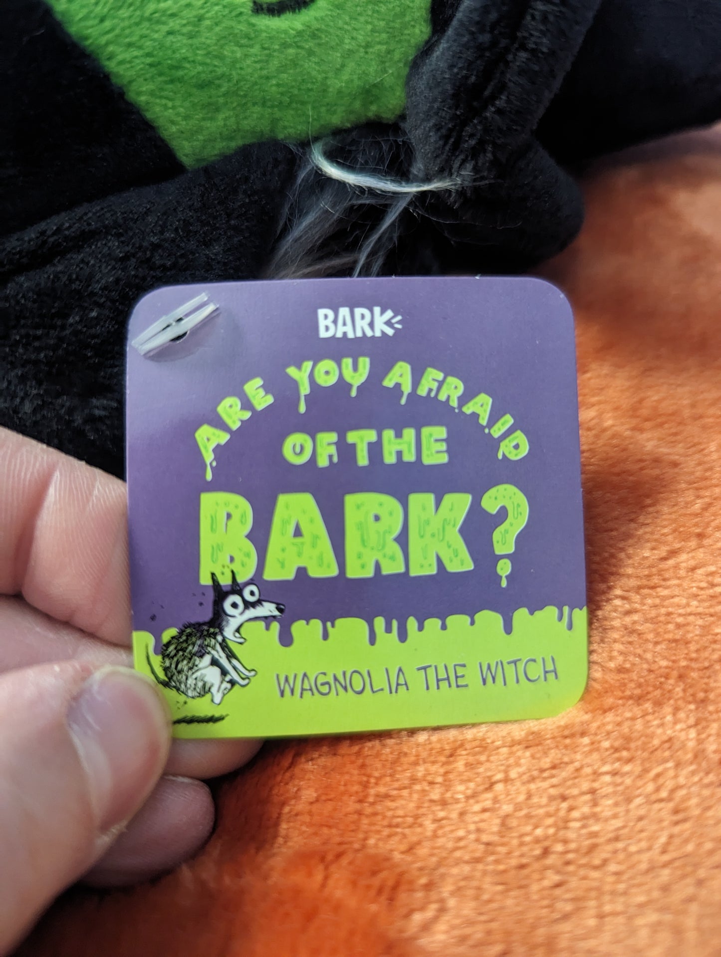 Bark box Wagnolia the witch