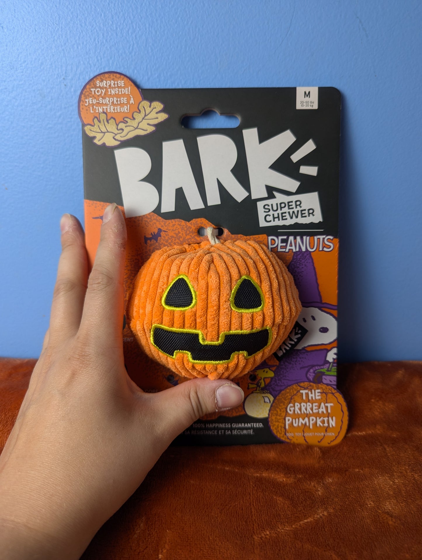 Barkbox the grrreat pumpkin