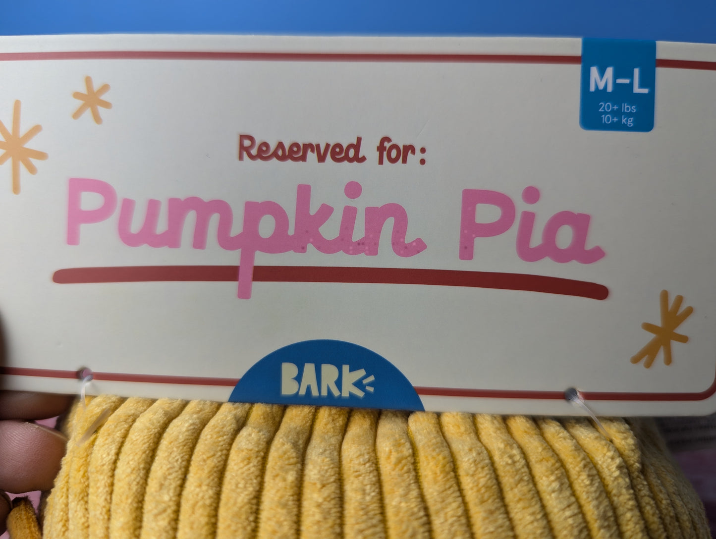 Barkbox pumpkin pia