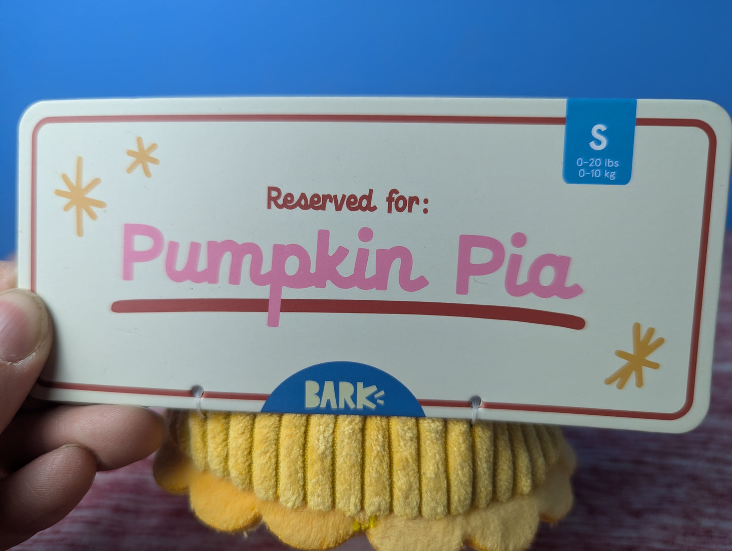 Barkbox pumpkin pia