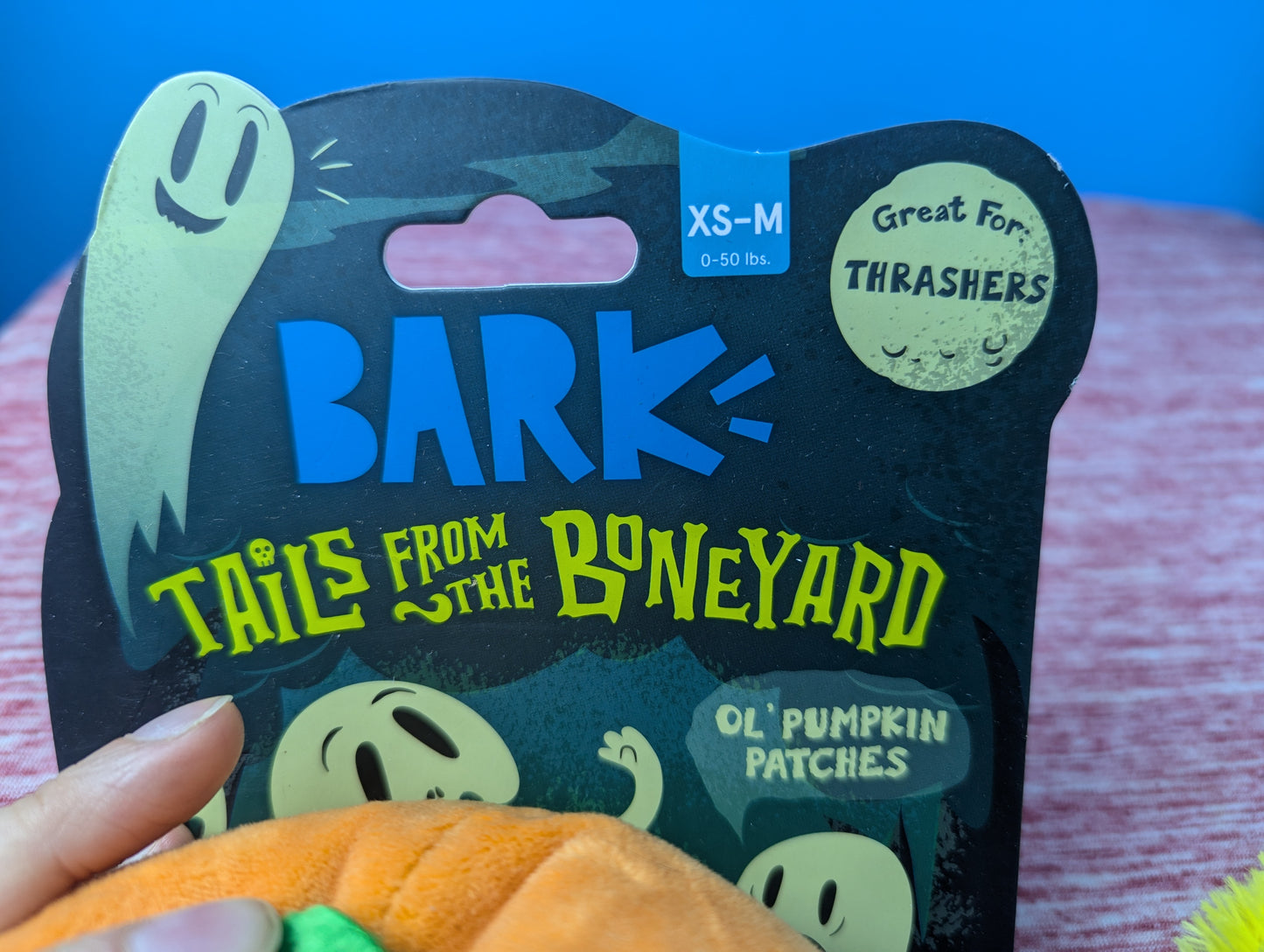 Barkbox Ol' Pumpkin Patches