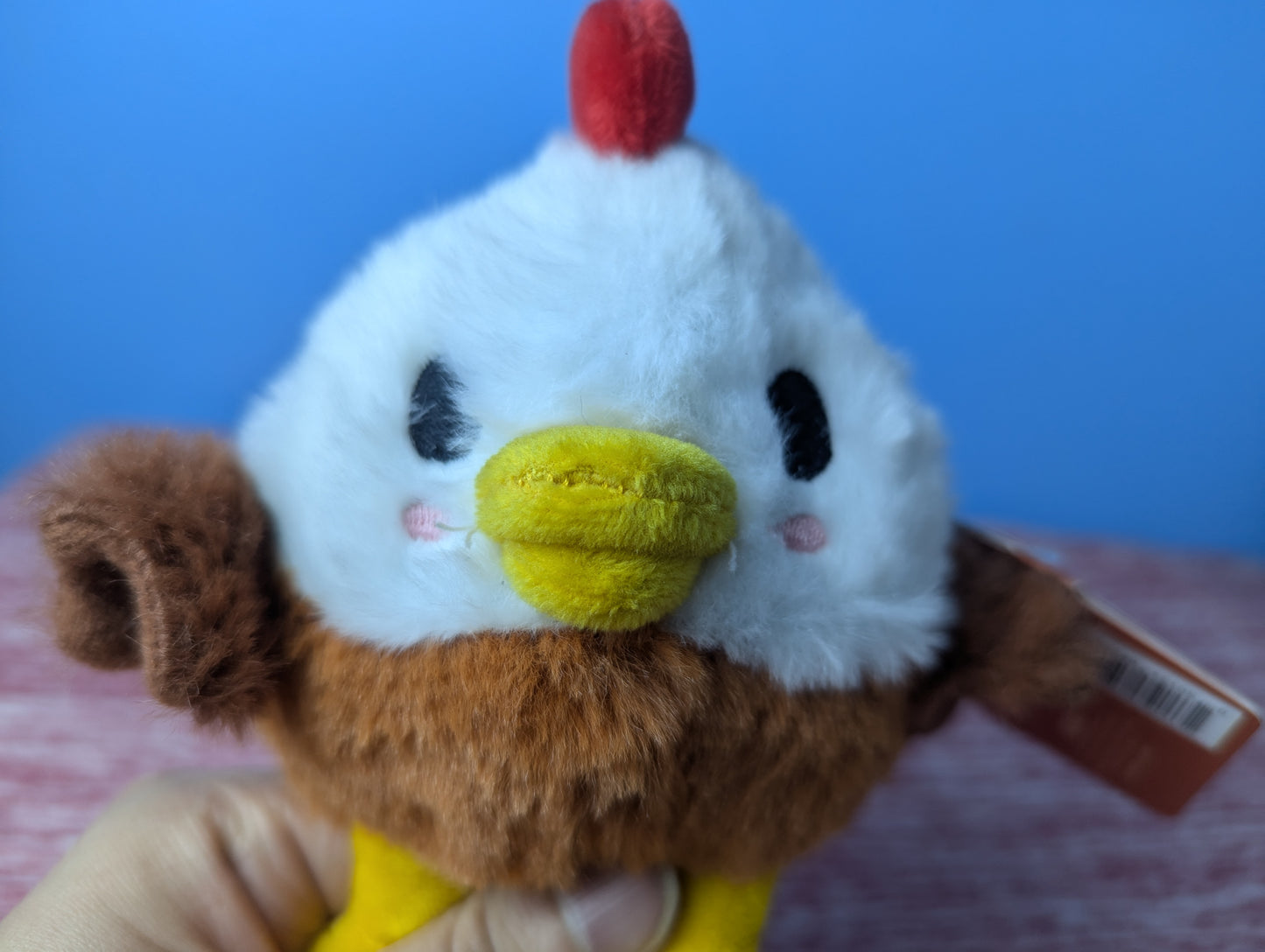 Barkbox chunky chicky