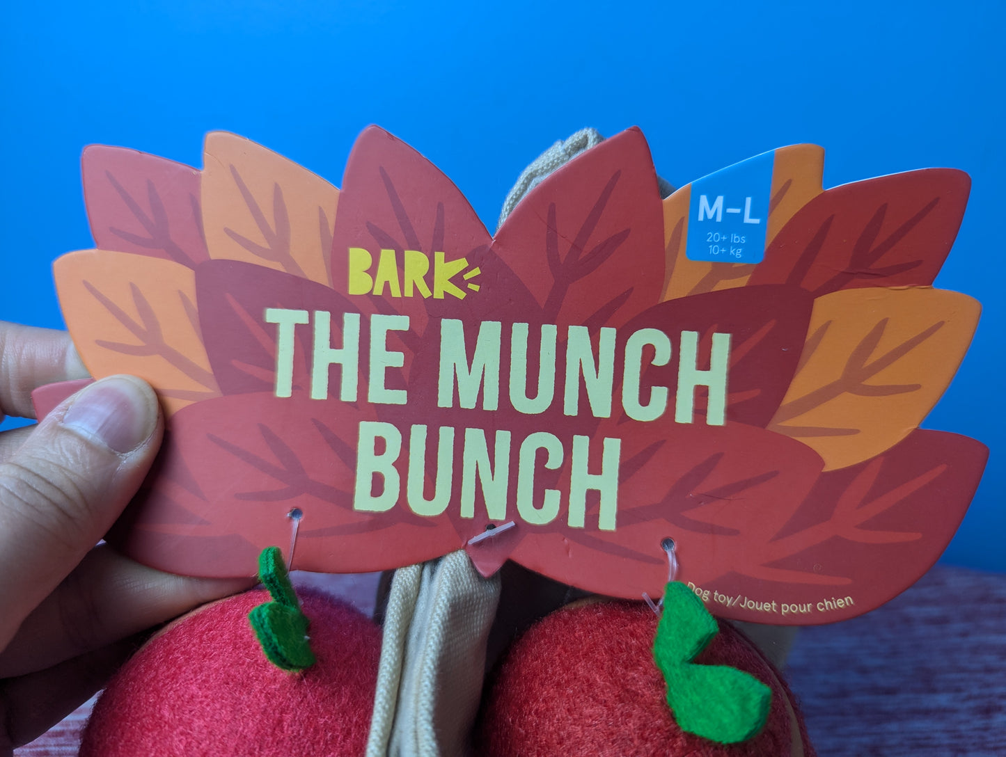 BarkBox the munch bunch