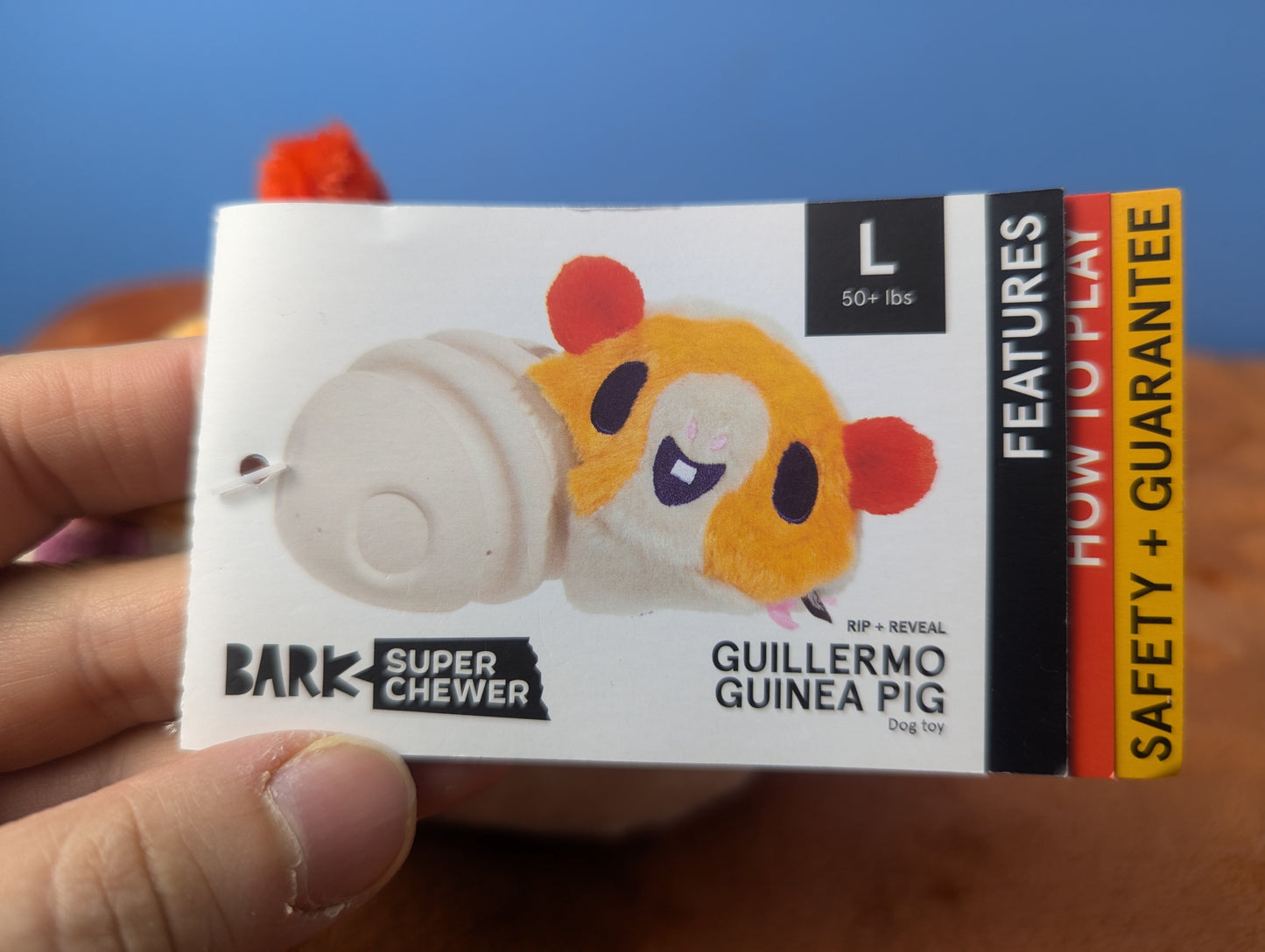 Barkbox Guillermo guinea pig