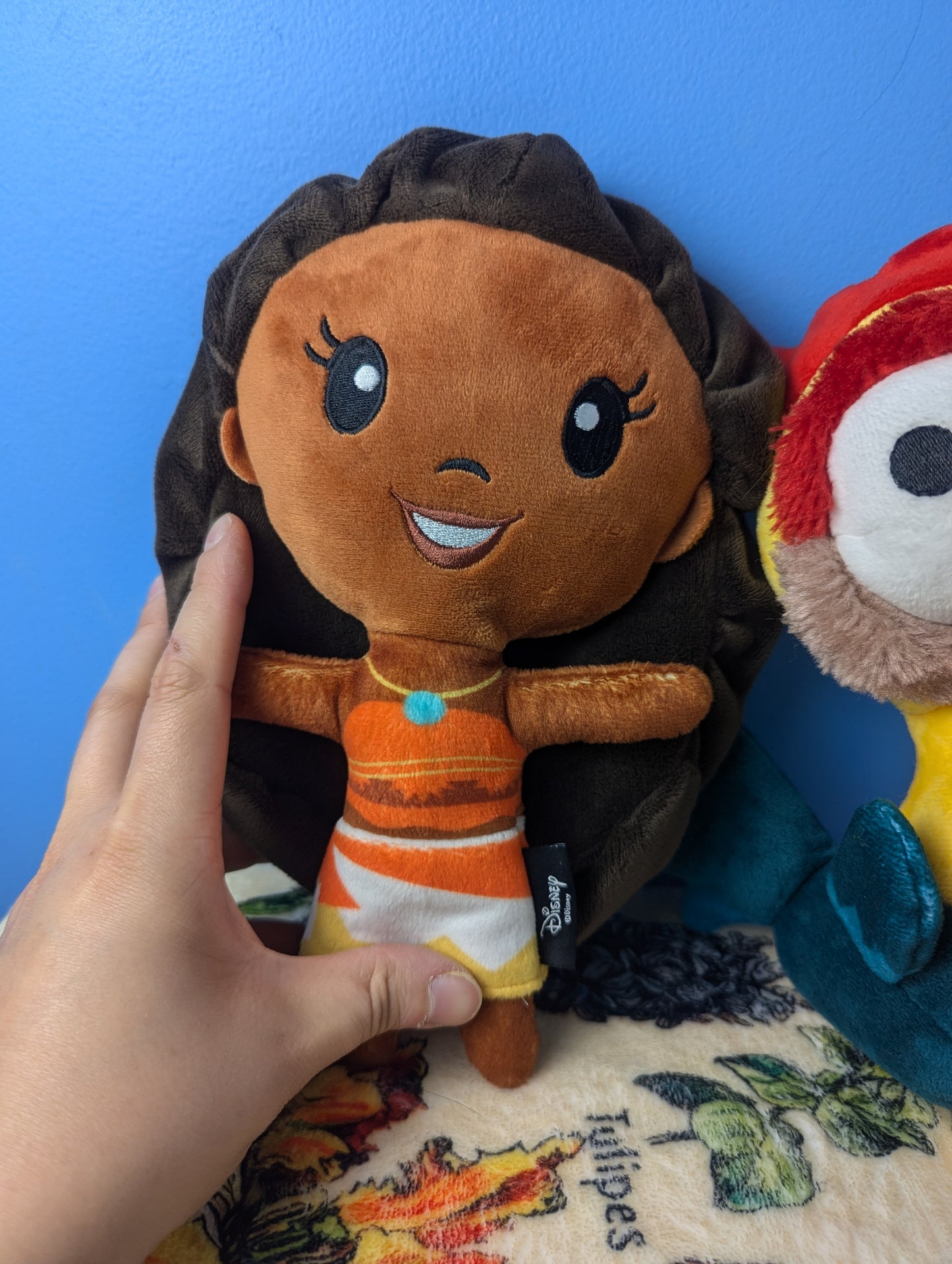 Chewy Disney- Moana and Heihei