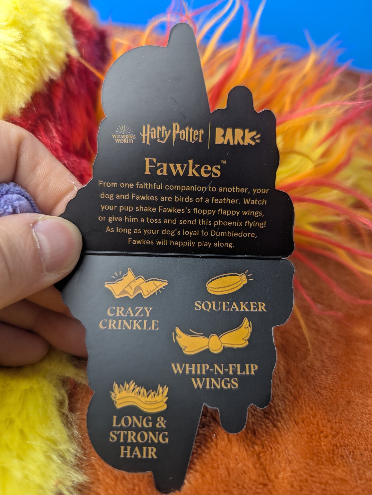 Barkbox Fawkes