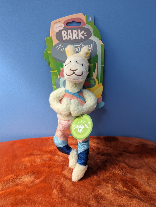 BarkBox llameste yoga teacher