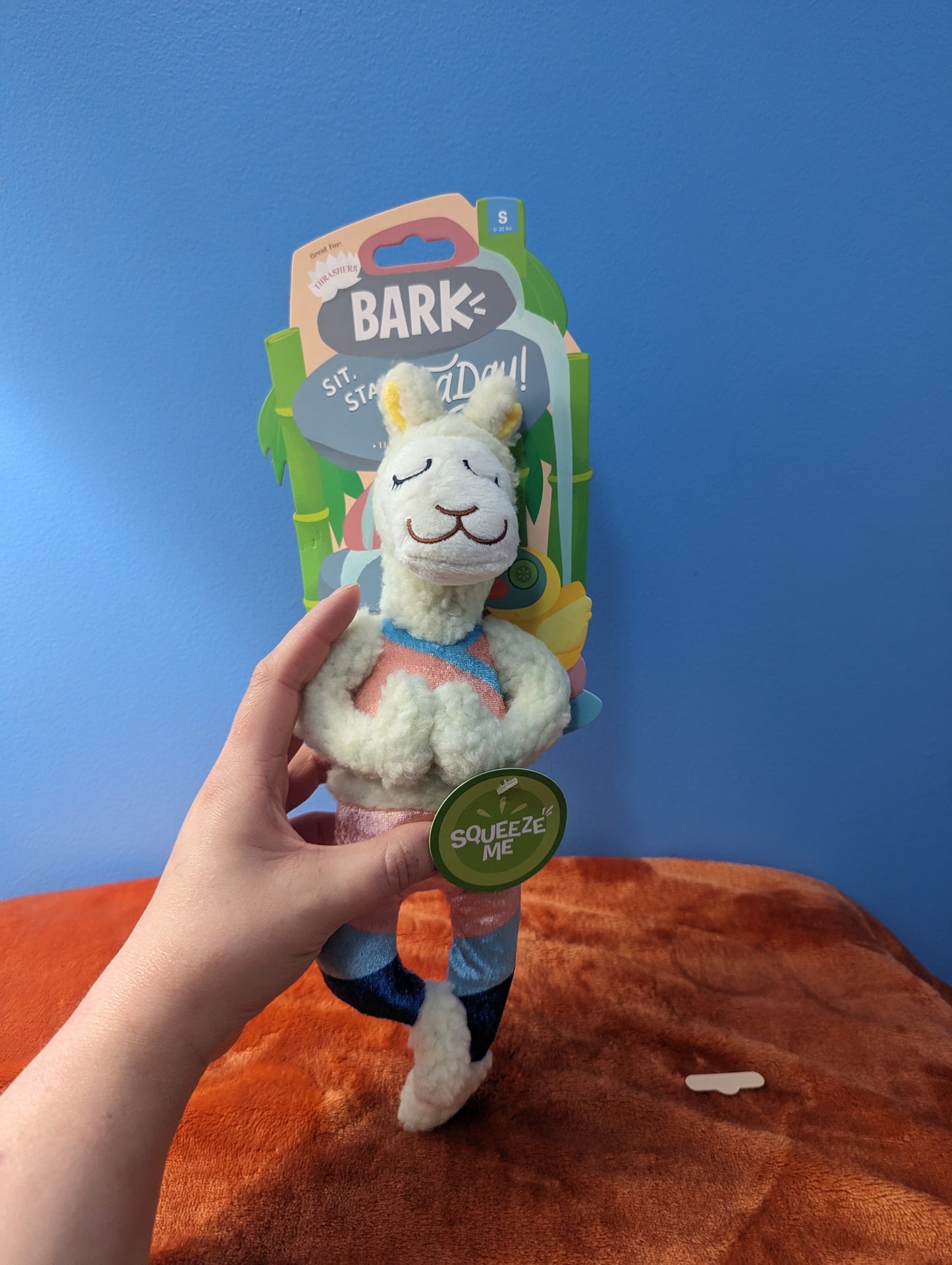 BarkBox llameste yoga teacher