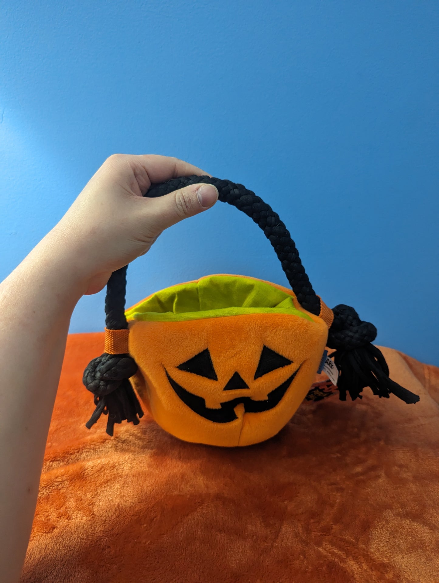 BarkBox pumpkin pail