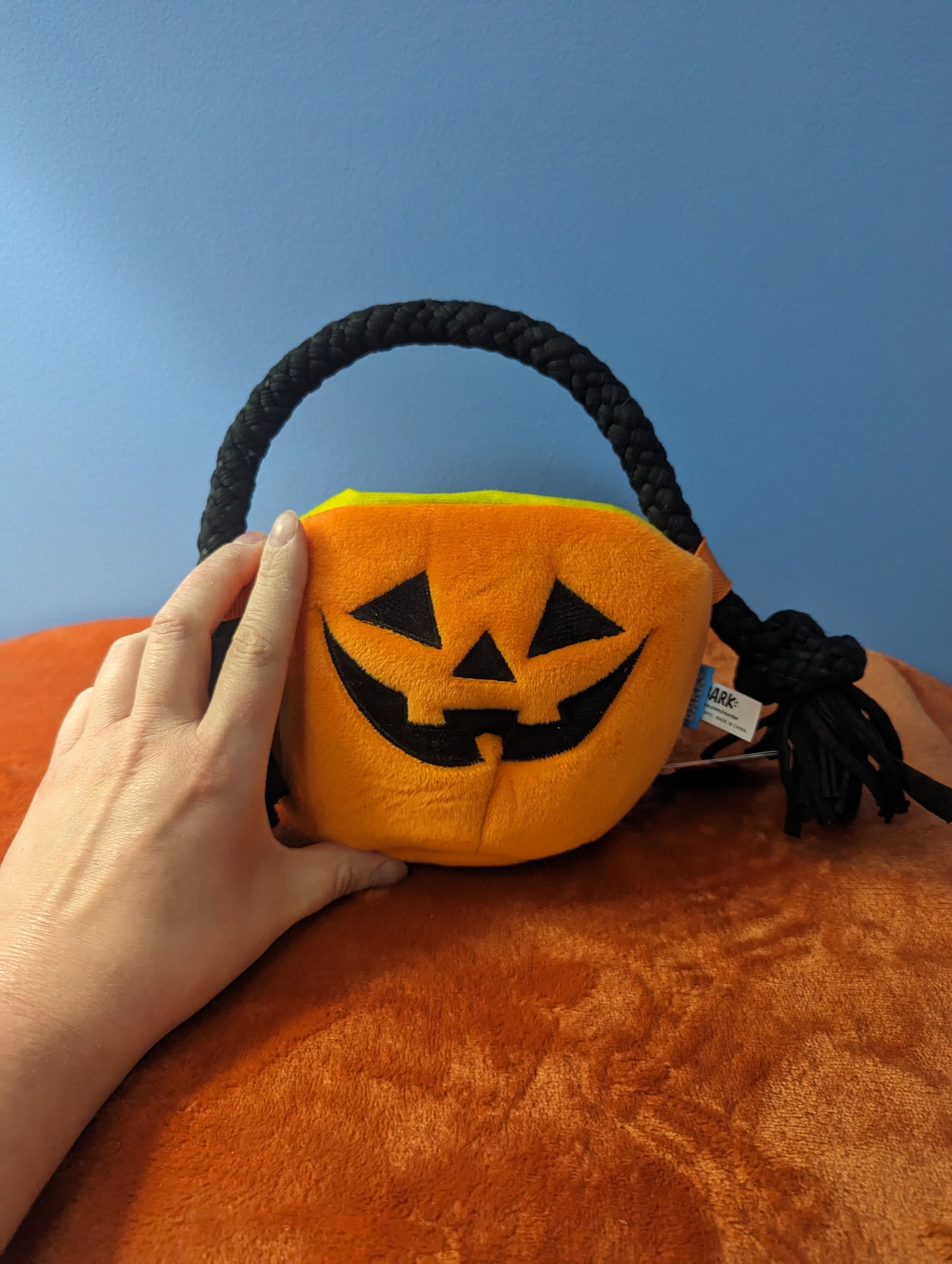 BarkBox pumpkin pail