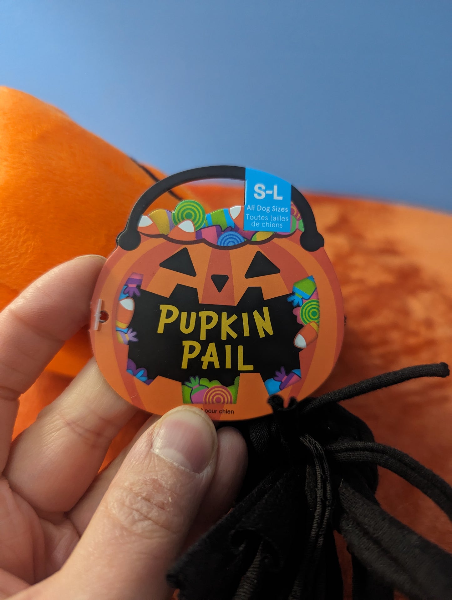 BarkBox pumpkin pail