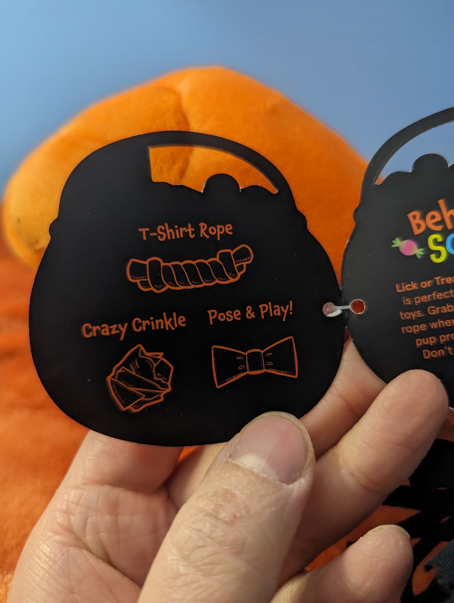 BarkBox pumpkin pail