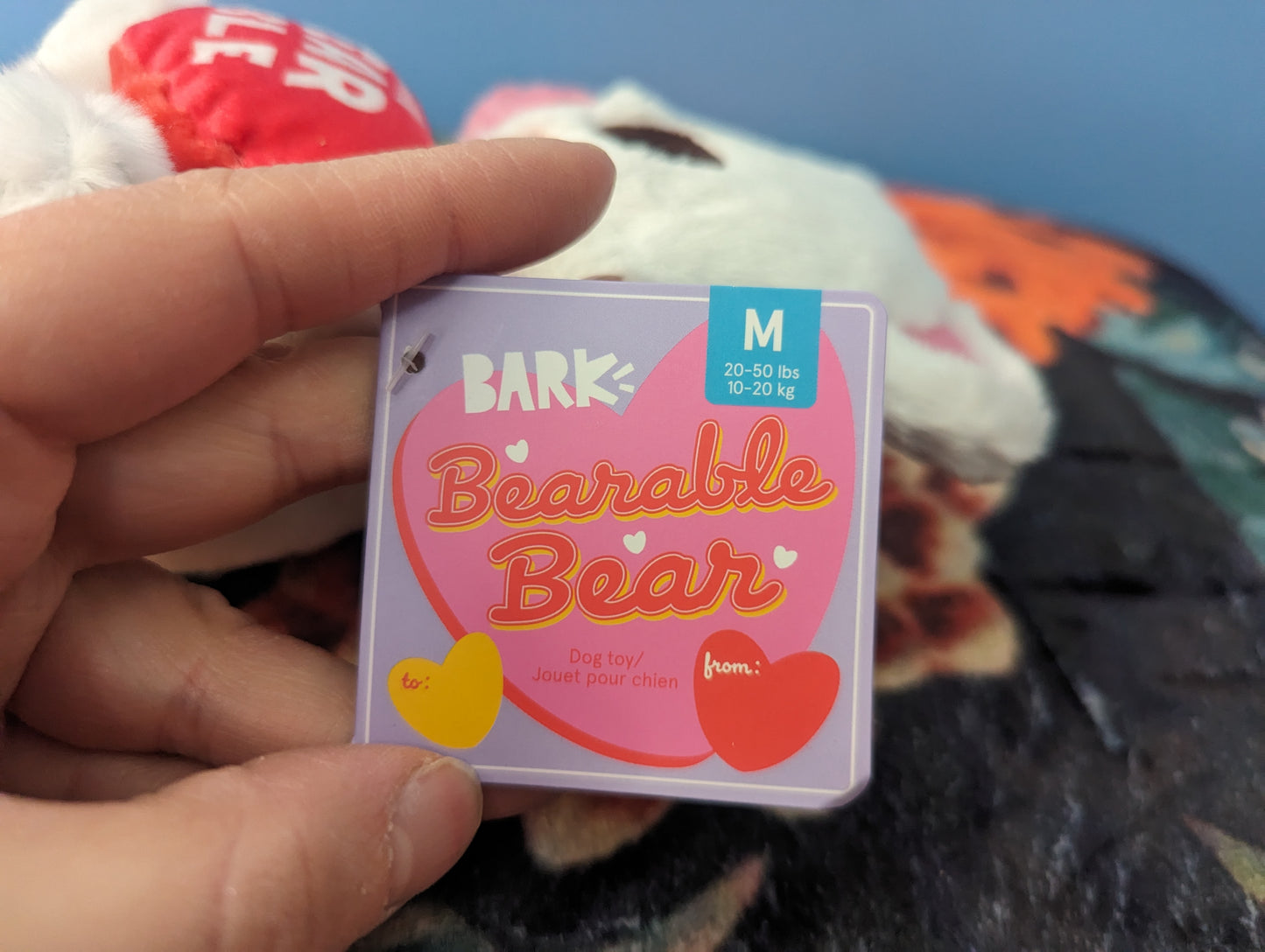 Bark box Bearable Bear