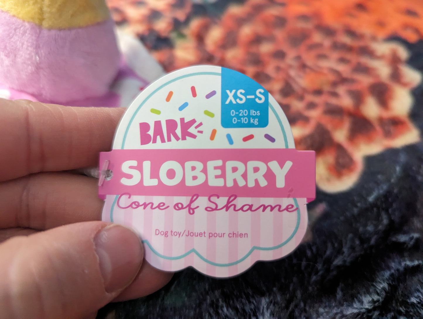 BarkBox Slobberry cone of shame