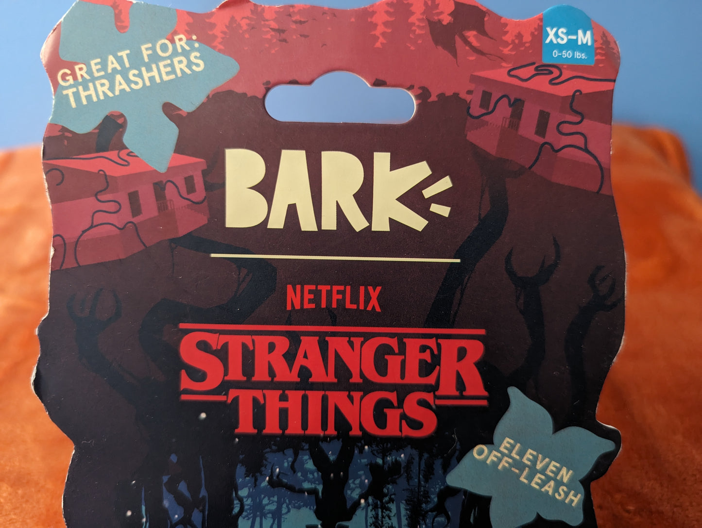 BarkBox Stranger Things Eleven off leash