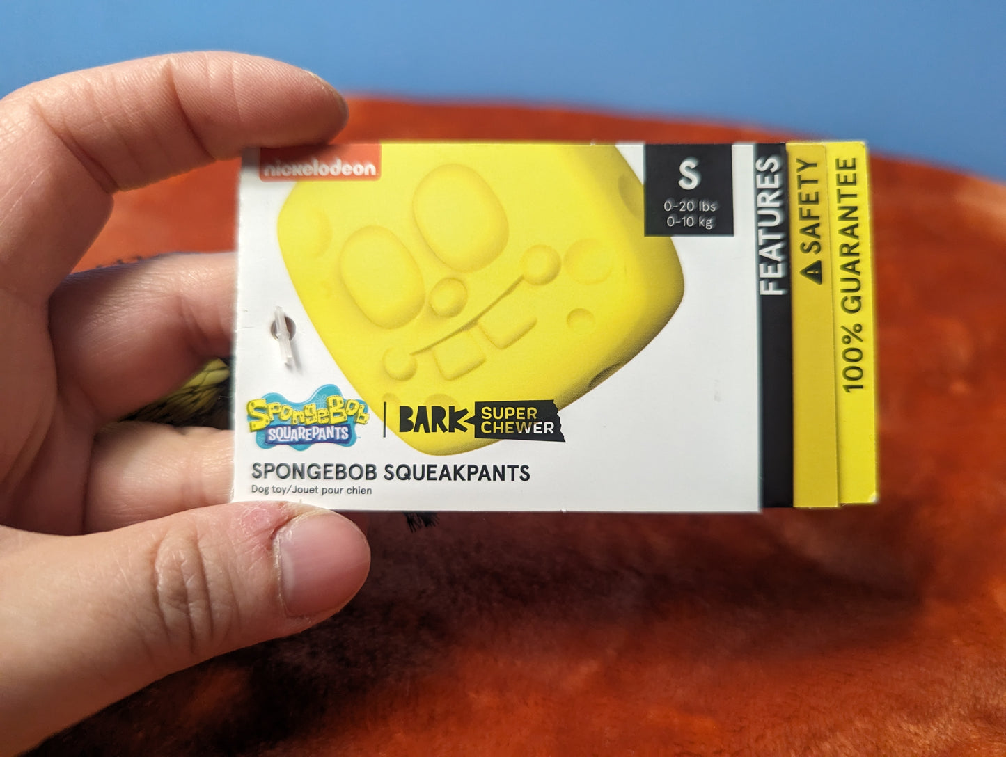 BarkBox SpongeBob squeakpants