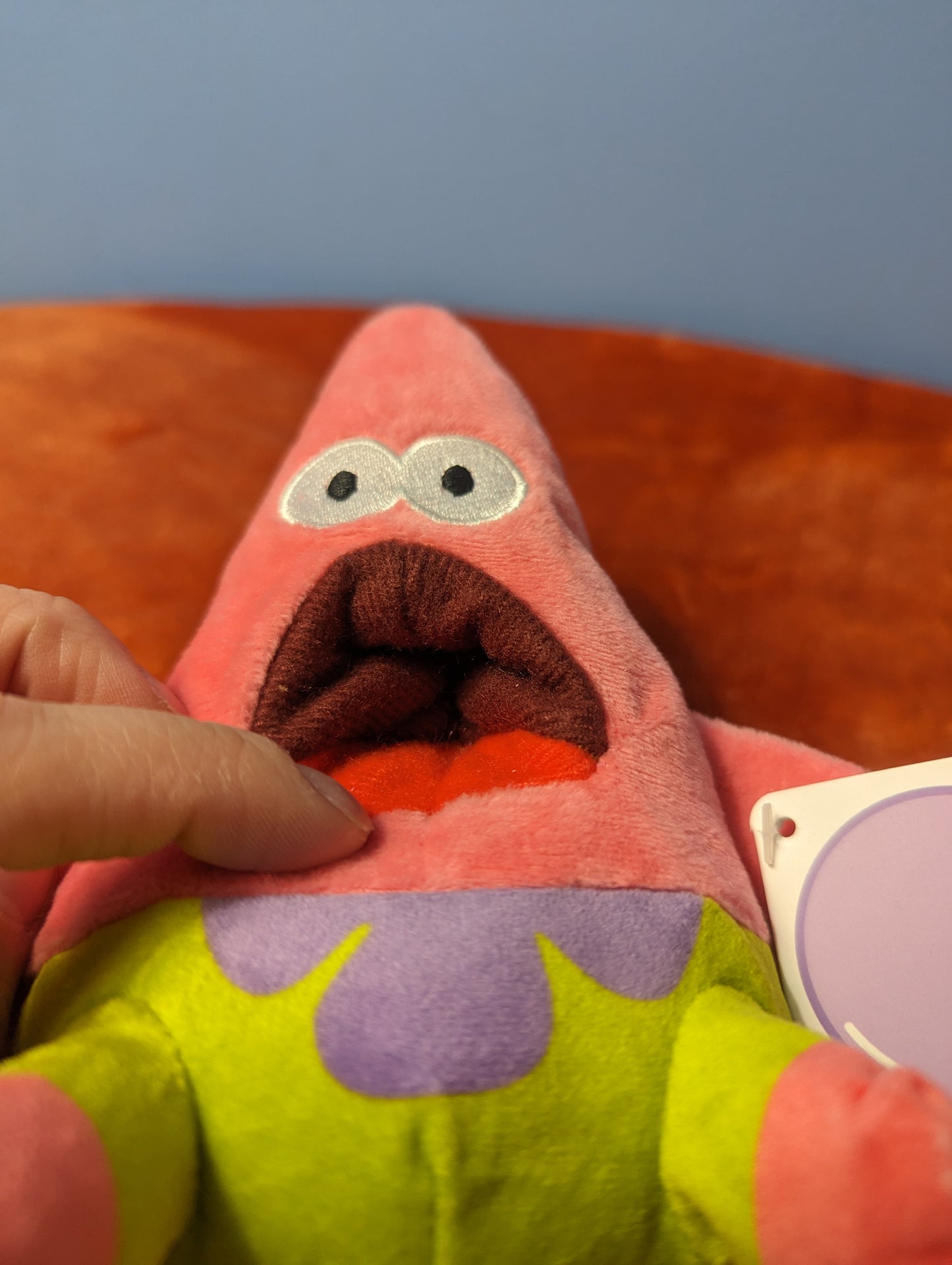 Barkbox surprised Patrick