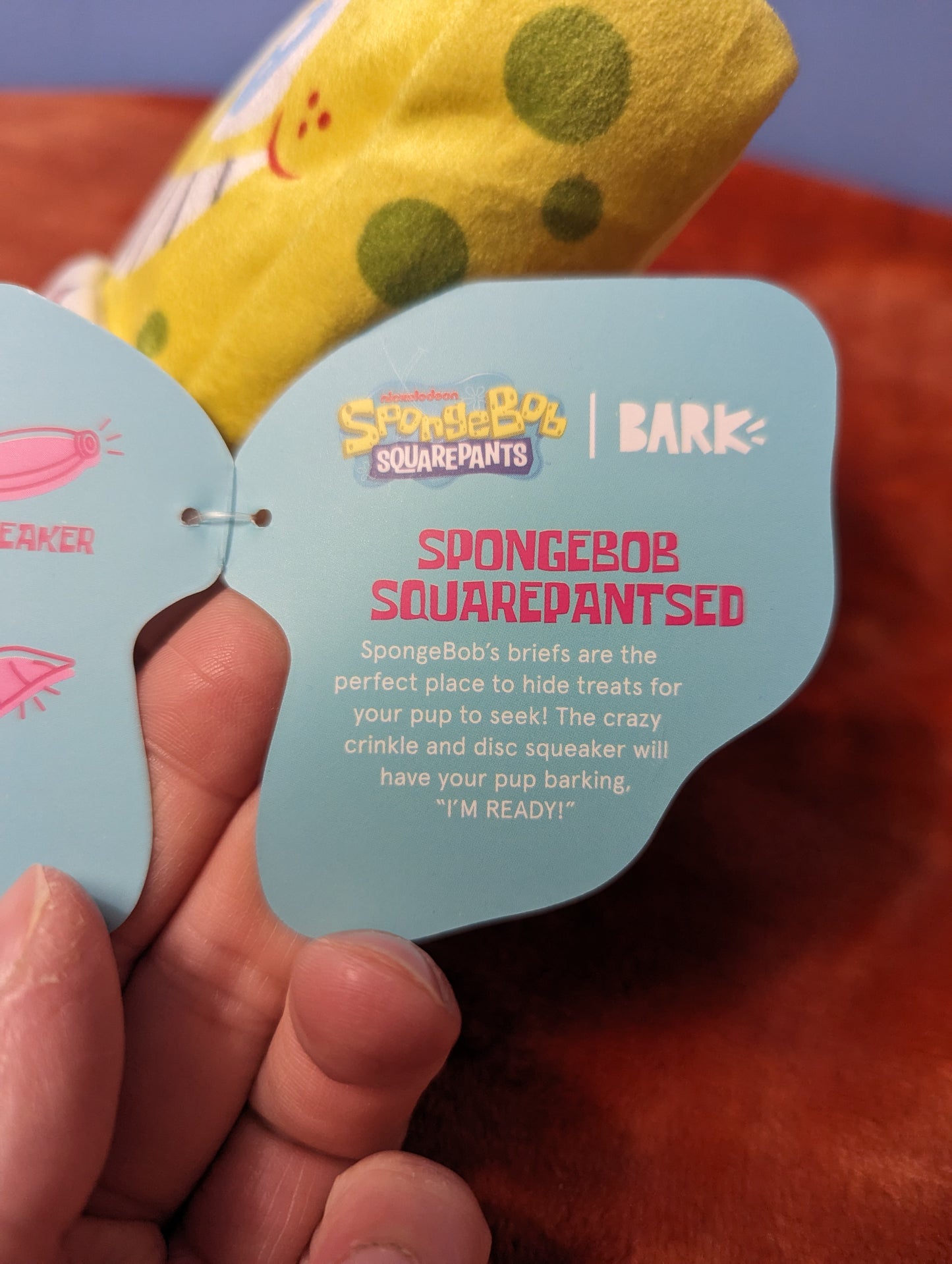 BarkBox SpongeBob squarepantsed