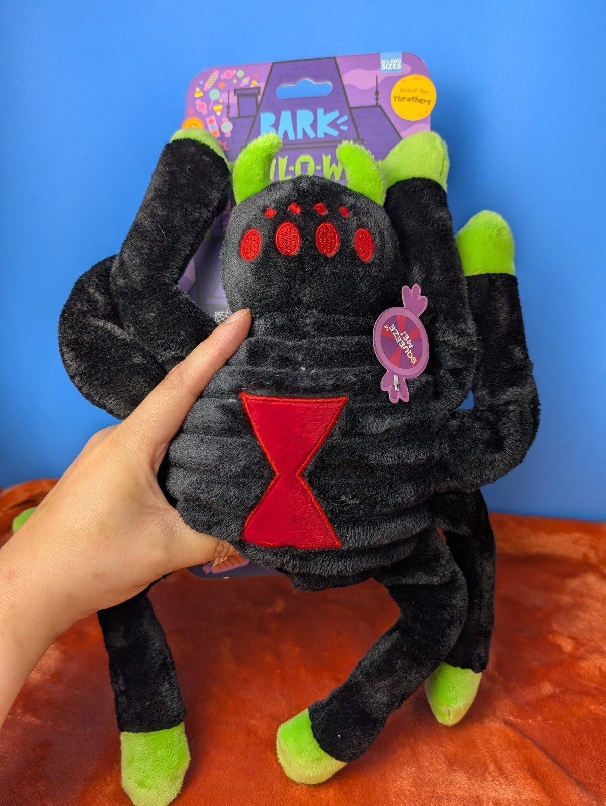 Barkbox Dark Web Designer, spider, Halloween