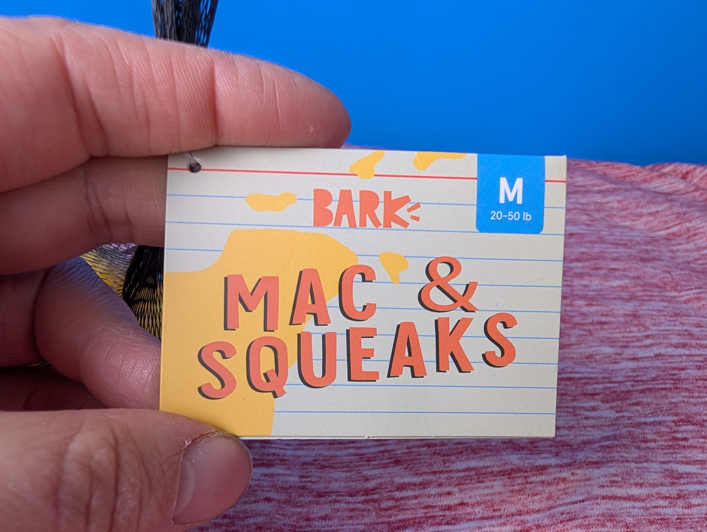 BarkBox Mac & Squeaks