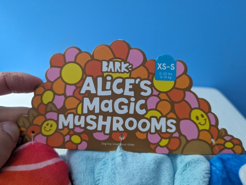 BarkBox Alice's Magic Mushrooms