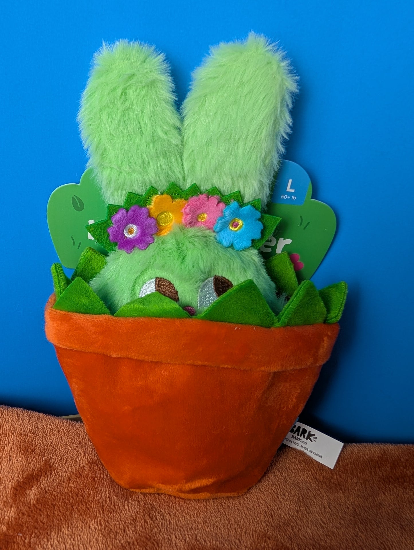 BarkBox Hana the Hippie Hopper