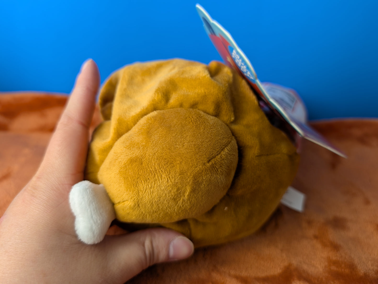 BarkBox Table Scrap Turkey