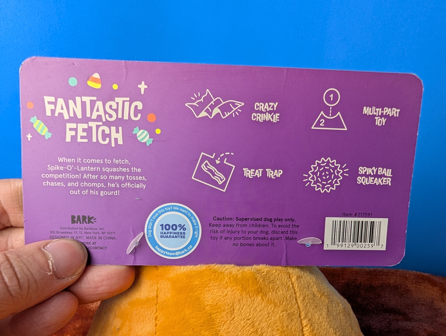 BarkBox Spike-O-Lantern