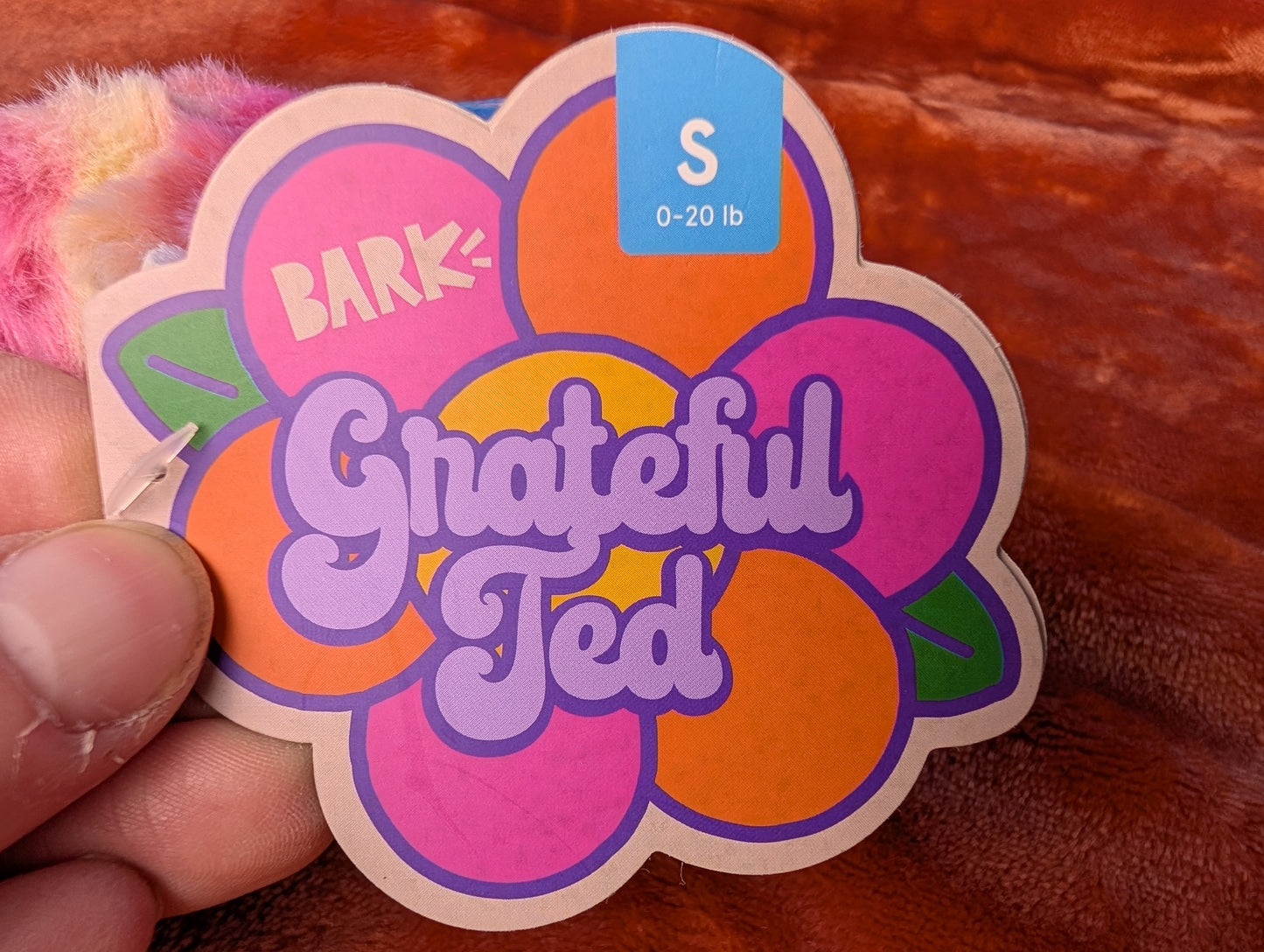 BarkBox Grateful Ted