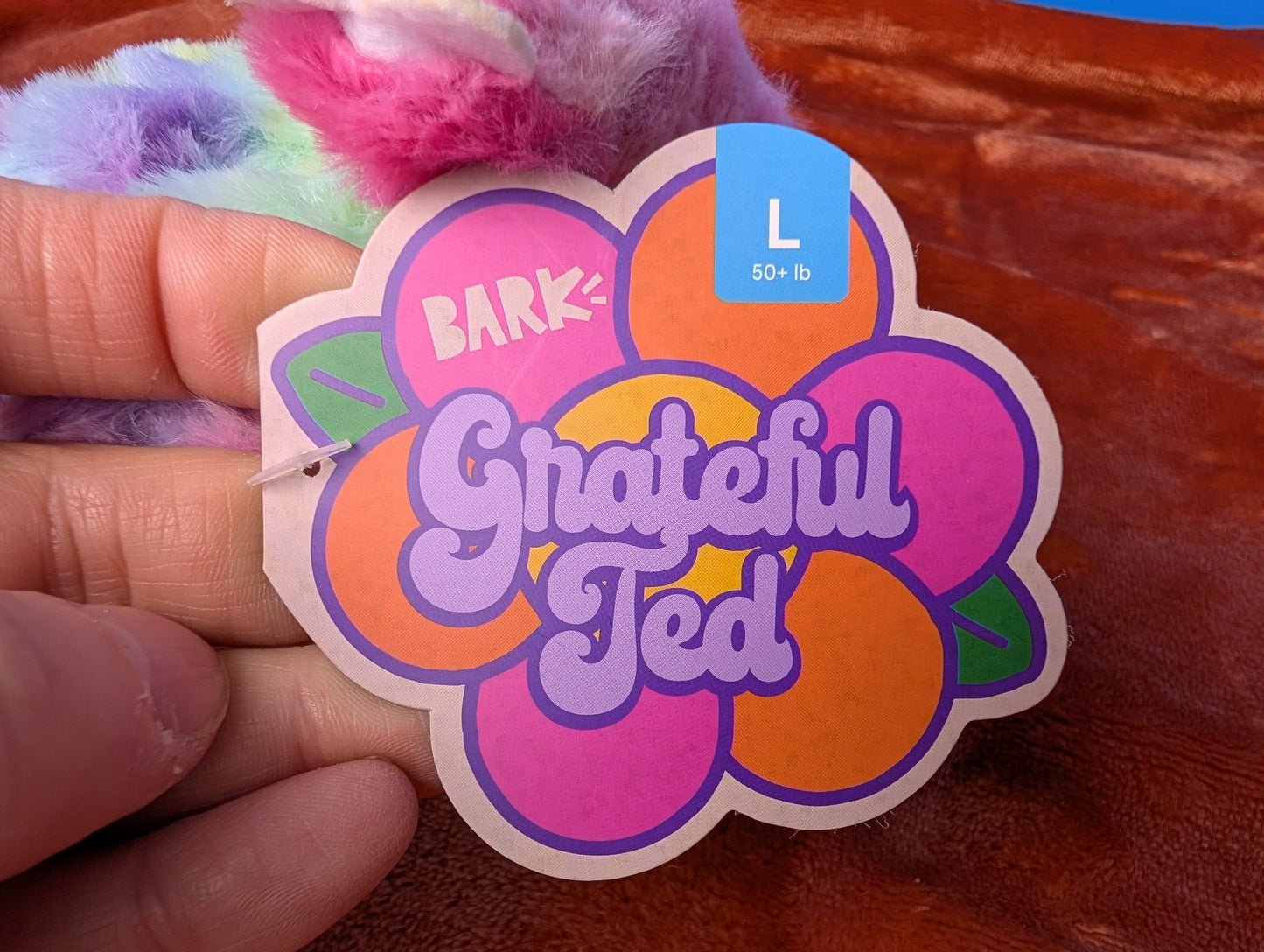 BarkBox Grateful Ted