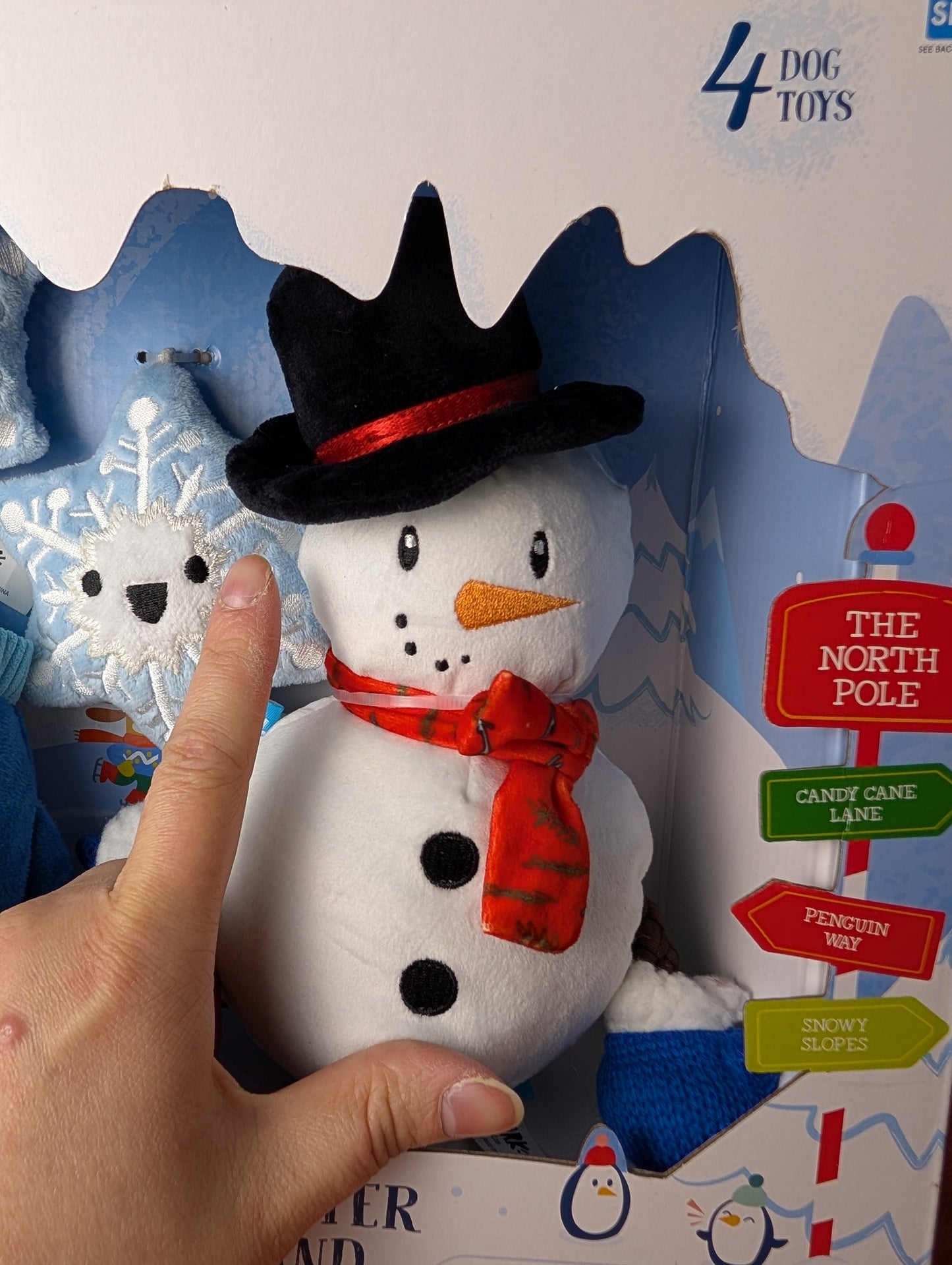 BarkBox Wagical Winter Wonderland