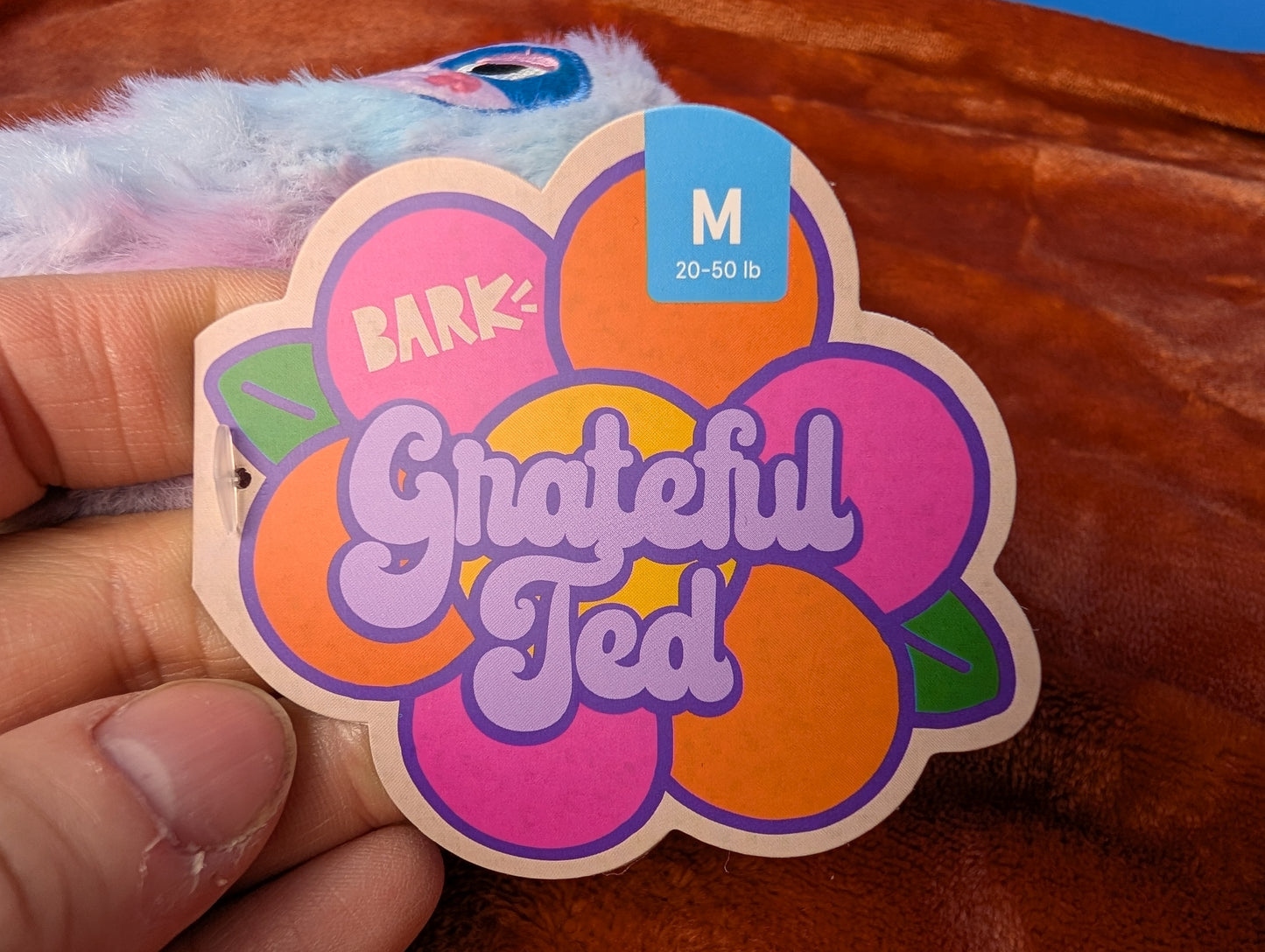 BarkBox Grateful Ted