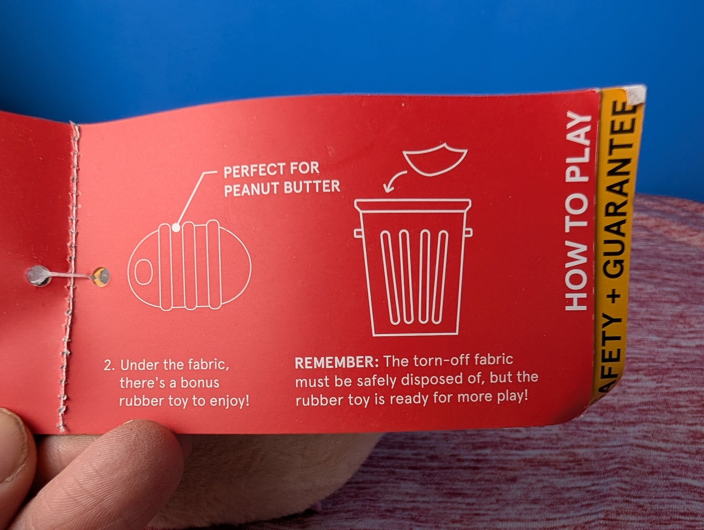 Barkbox Guillermo guinea pig