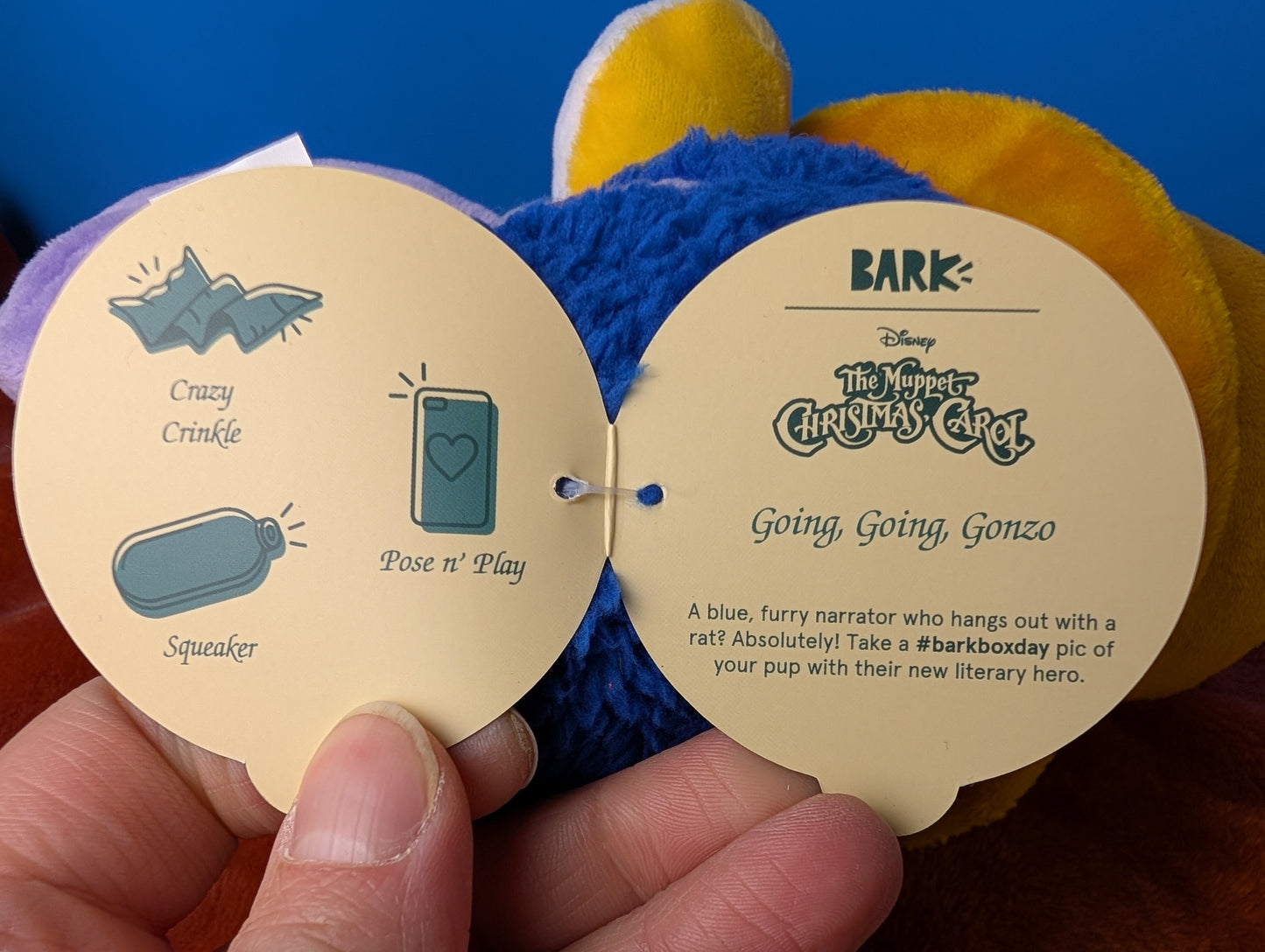 BarkBox Going, Going, Gonzo