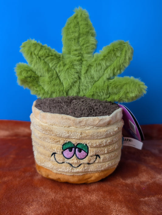 BarkBox Easy Grows It