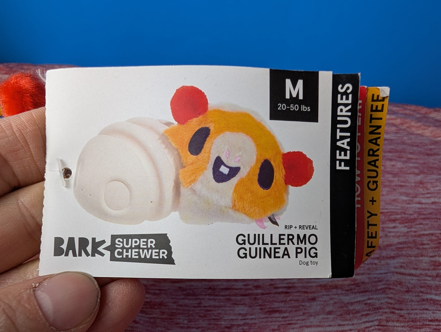 Barkbox Guillermo guinea pig