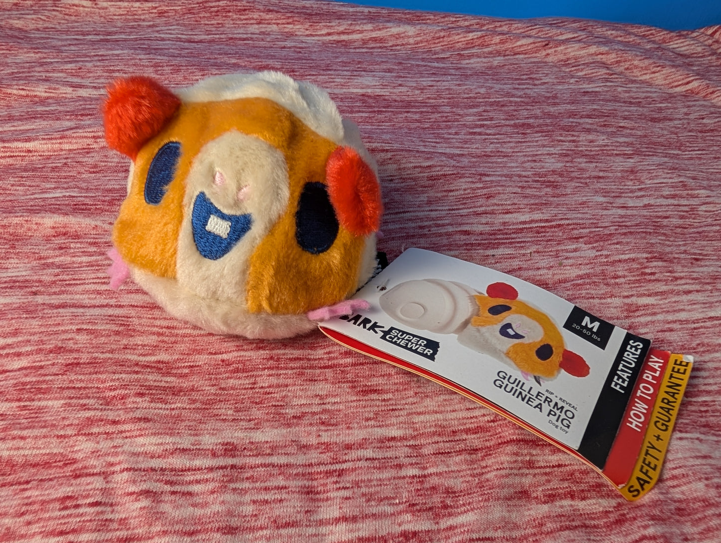 Barkbox Guillermo guinea pig