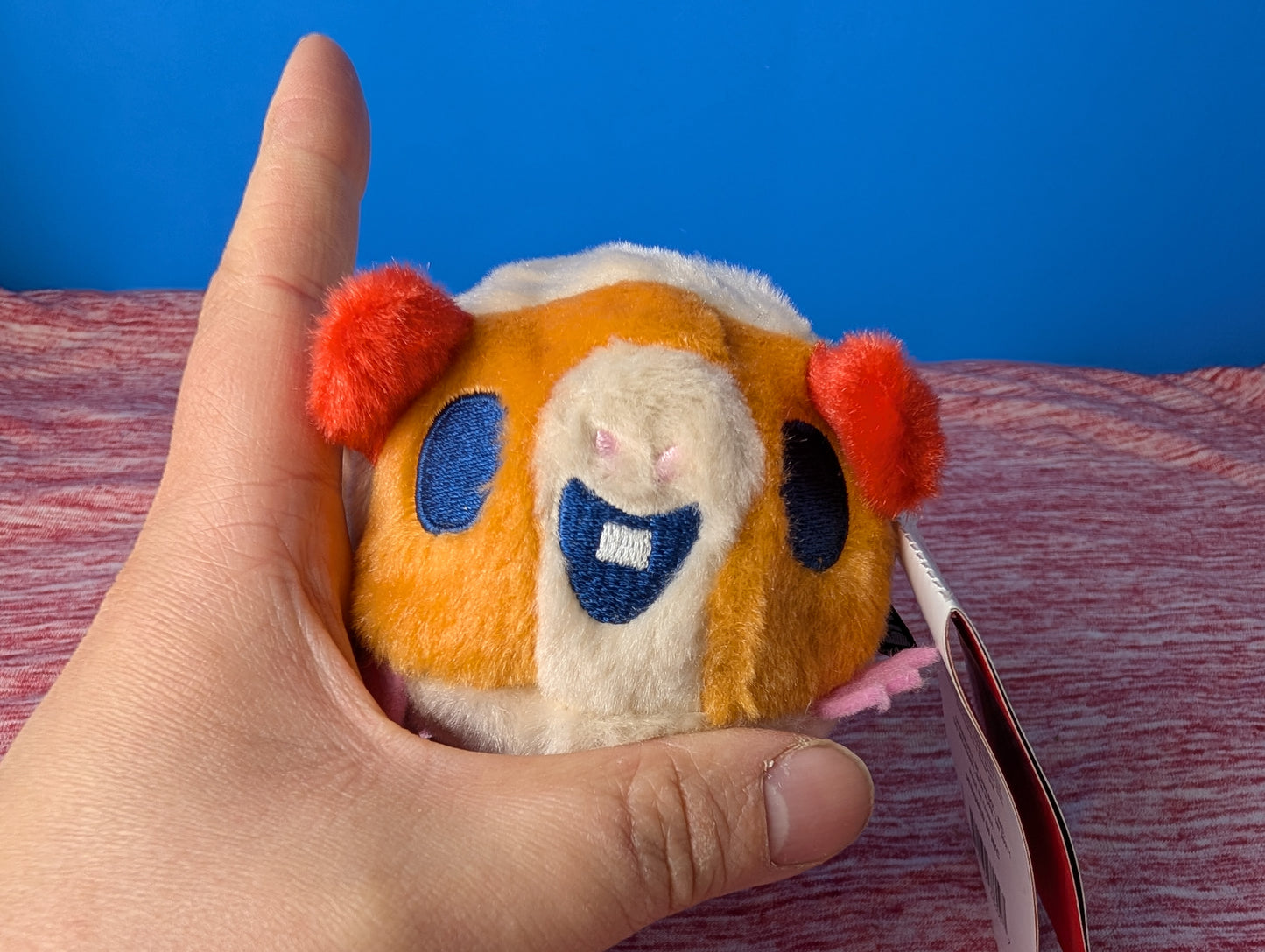 Barkbox Guillermo guinea pig