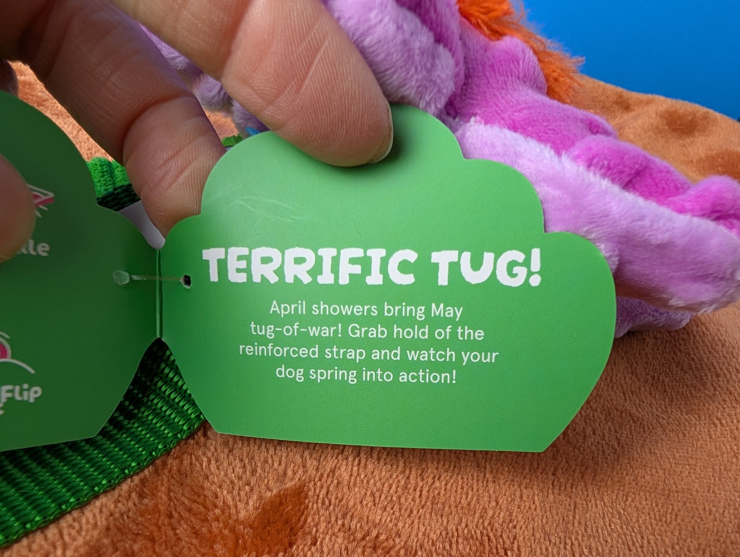 BarkBox Debbie Daisy