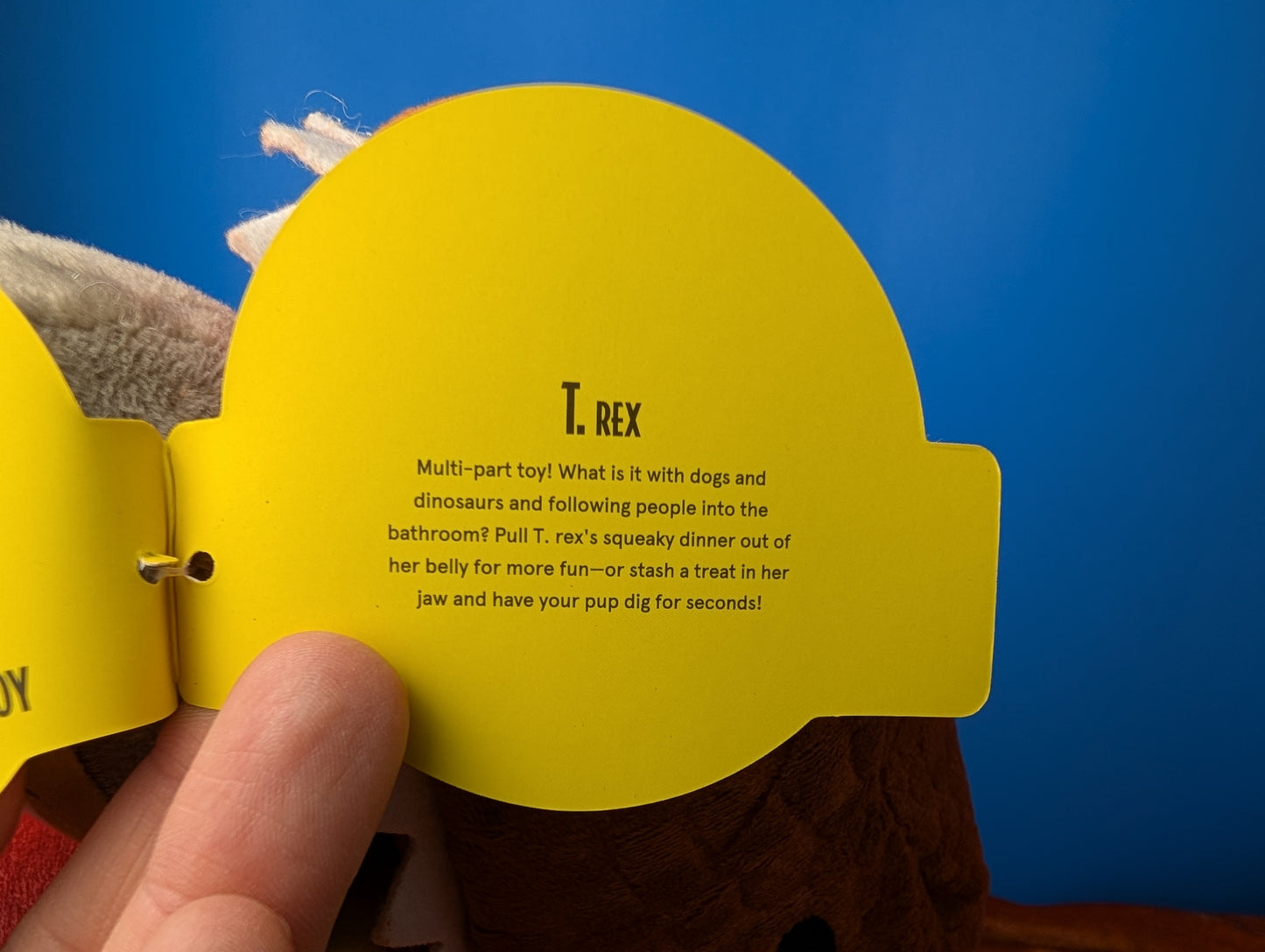 BarkBox T-Rex