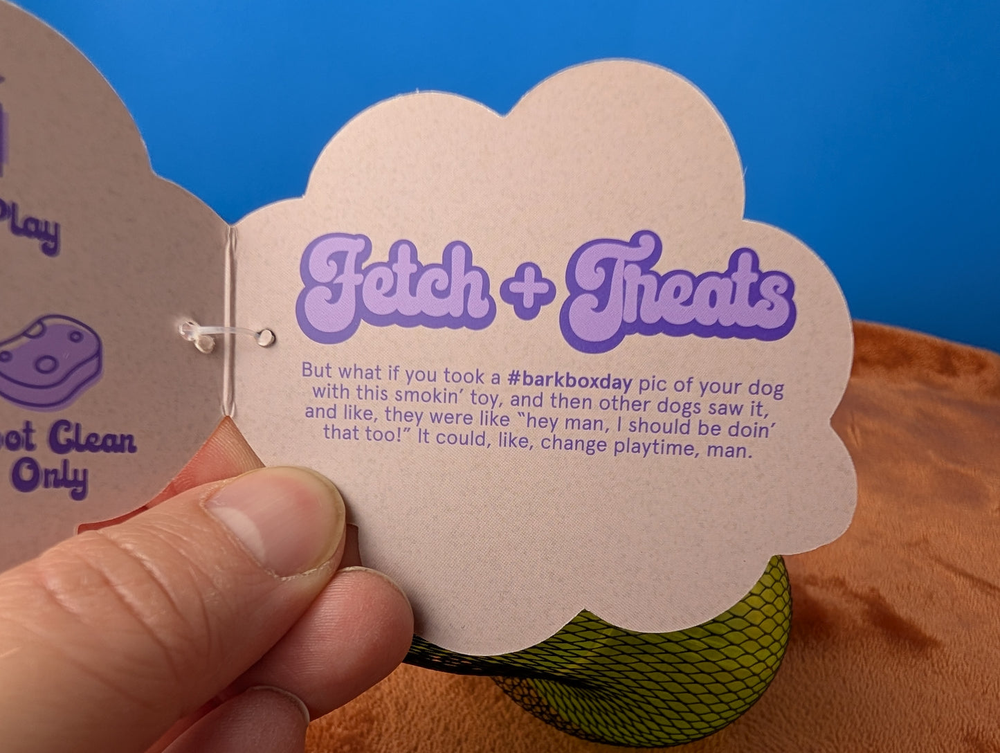 Barkbox Snacked Packed Bong