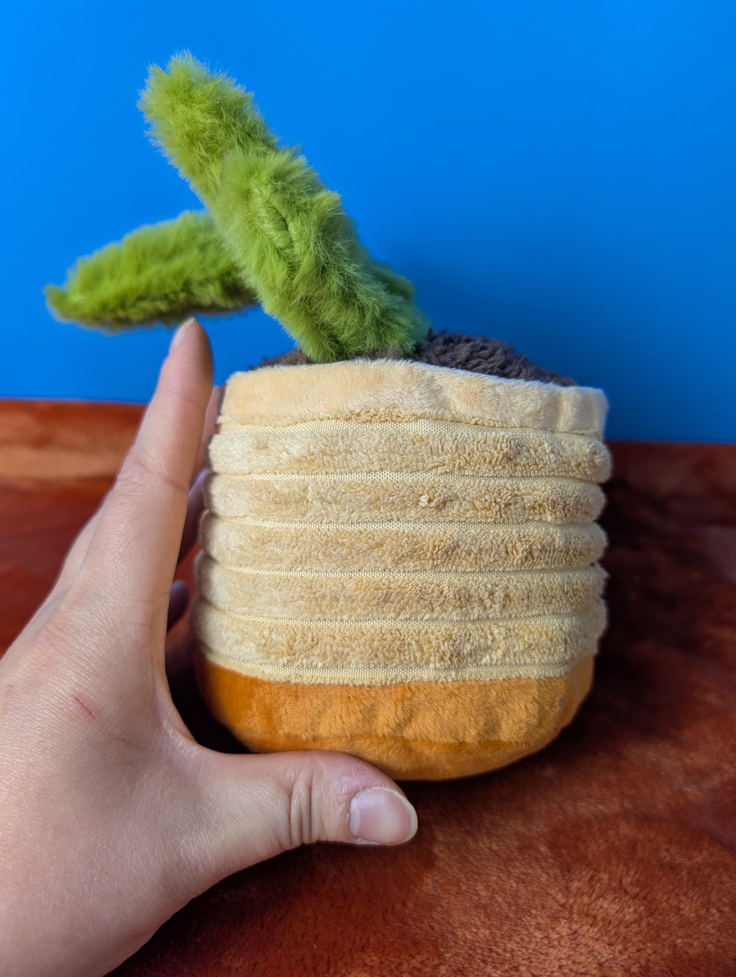 BarkBox Easy Grows It